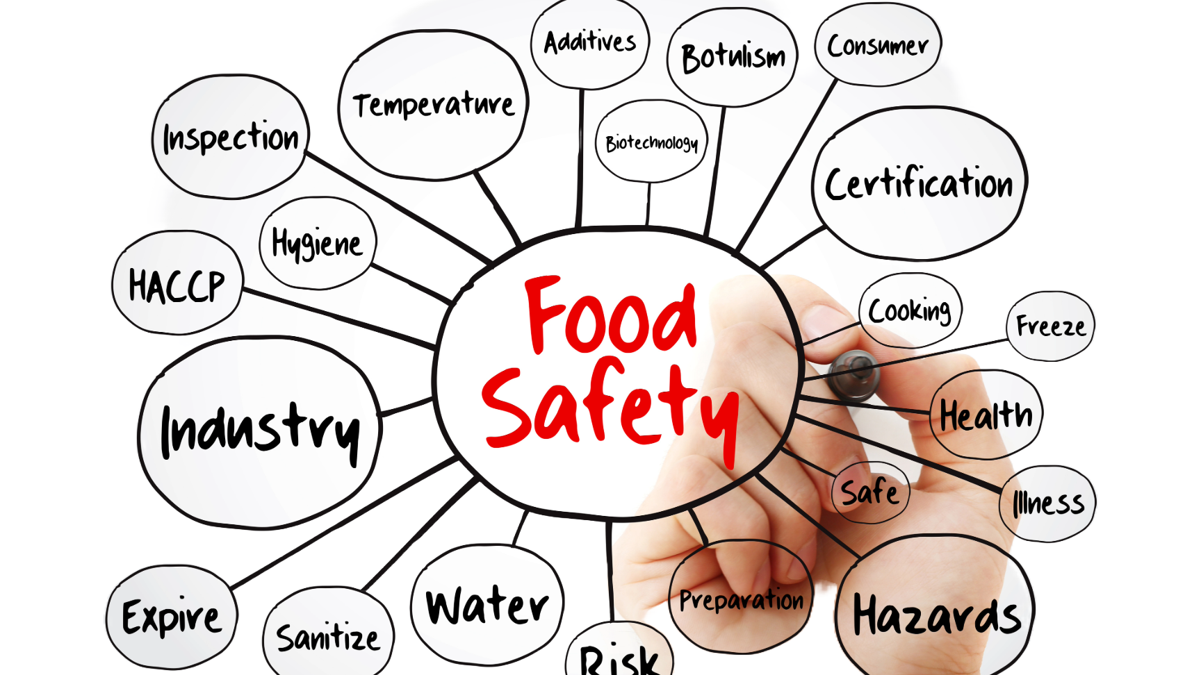 Achieve HACCP Certification in Australia: A Step-by-Step Guide