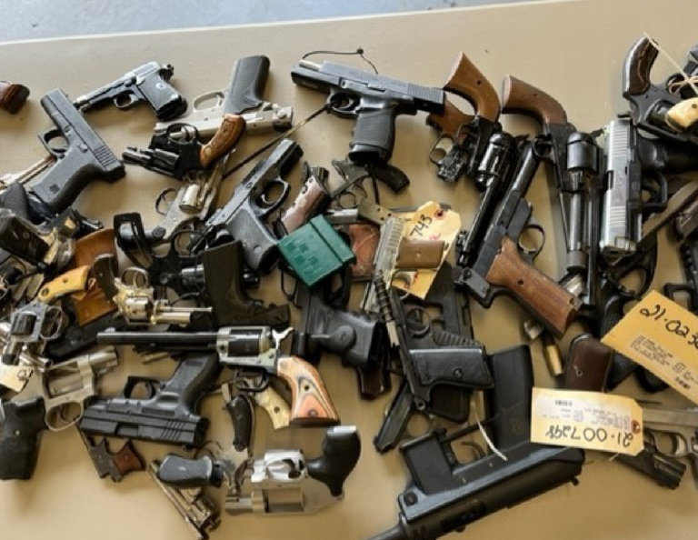 All You Need to Know About Captive Bolt Gun Licenses