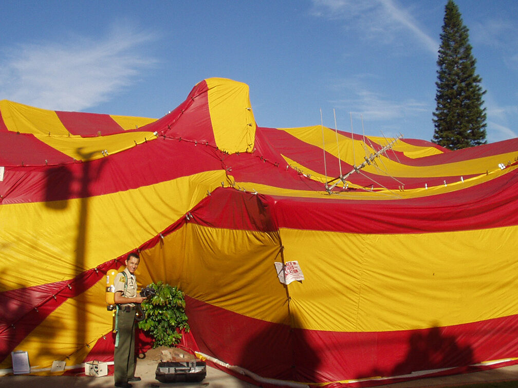 All You Need to Know About Fumigation Certificates