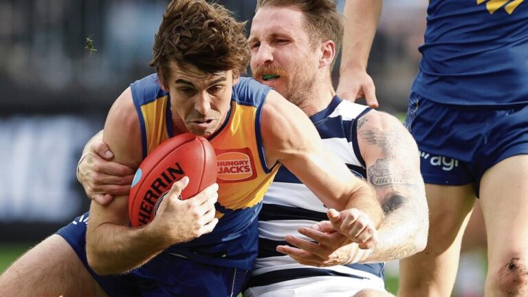 Andrew Gaff: A Deep Dive into His Current Contract Situation