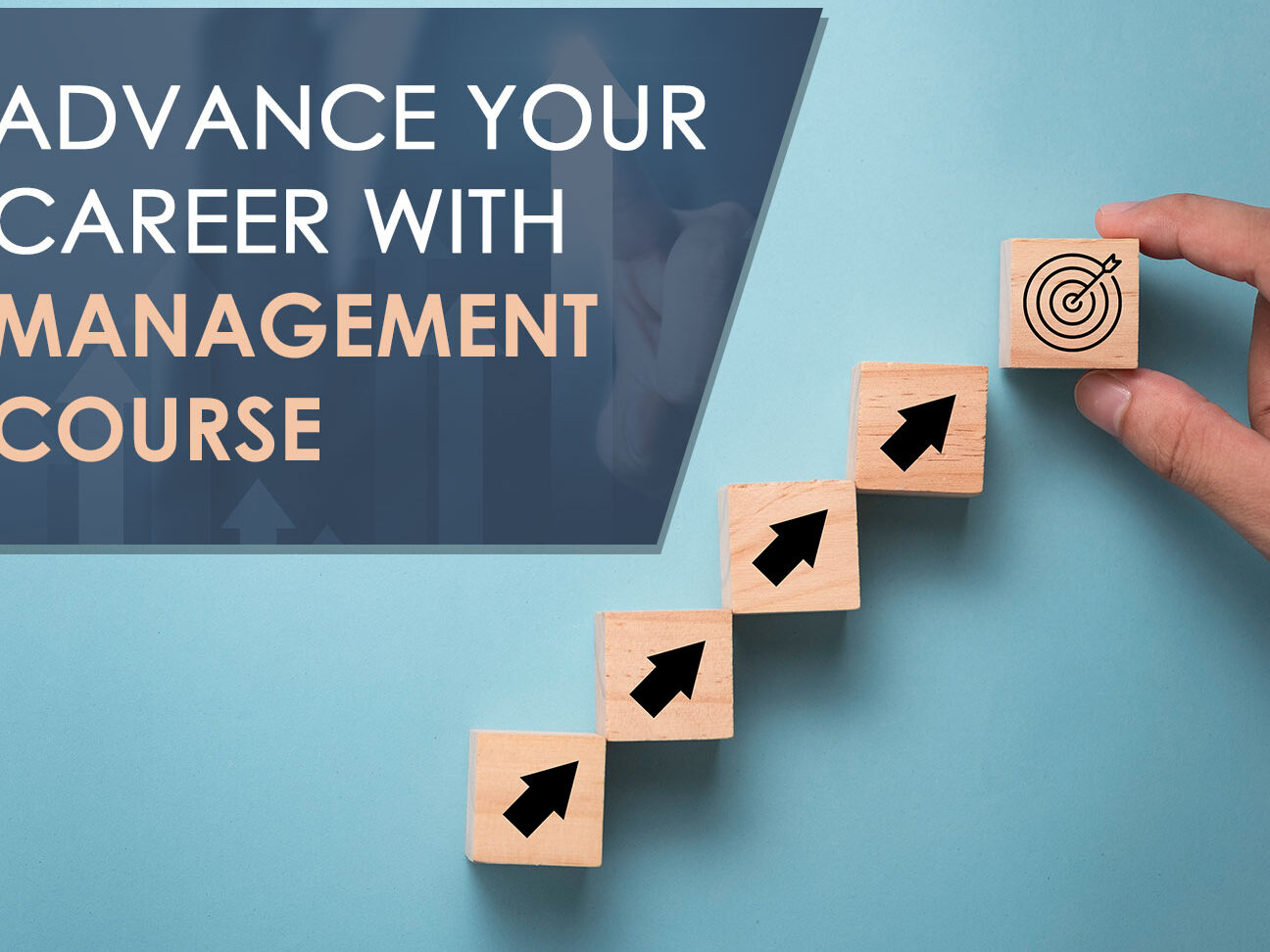 Elevate Your Career with Certificate 4 in Finance