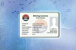 Ensuring License Validity in Sindh: A Complete Guide
