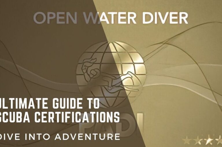 Essential Guide to Adelaide Driver's License Requirements