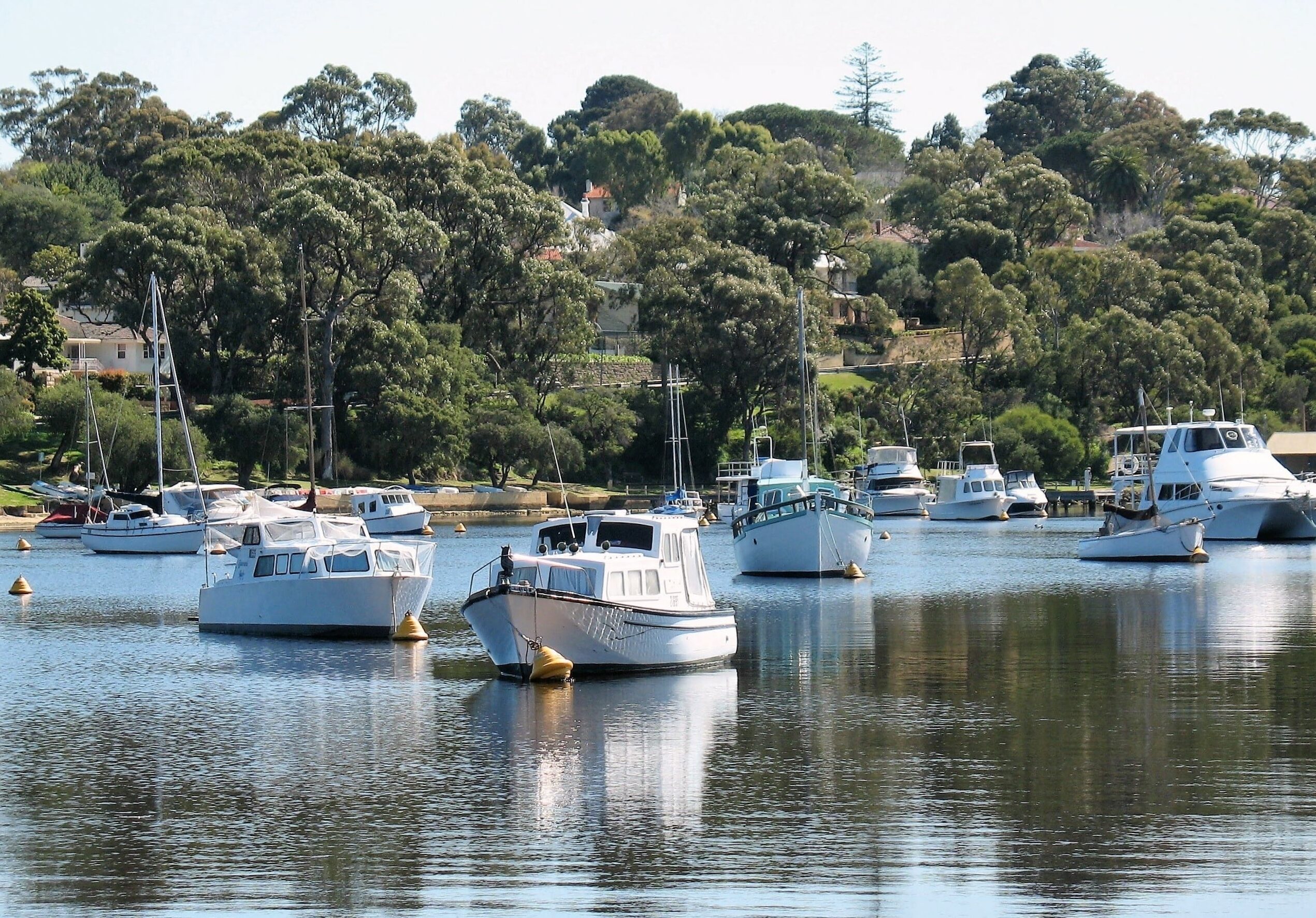 Essential Guide to Boat License in Cairns: Everything You Need to Know