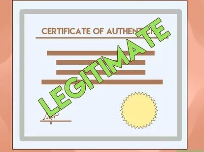 Essential Guide to Certificate Holders: Everything You Need to Know
