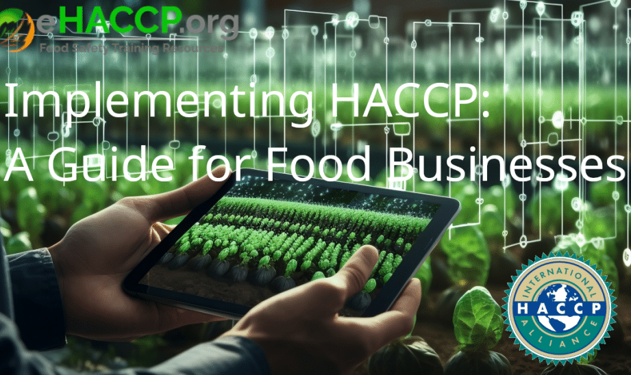 Essential Guide to Food Handling Certificates: What You Need to Know