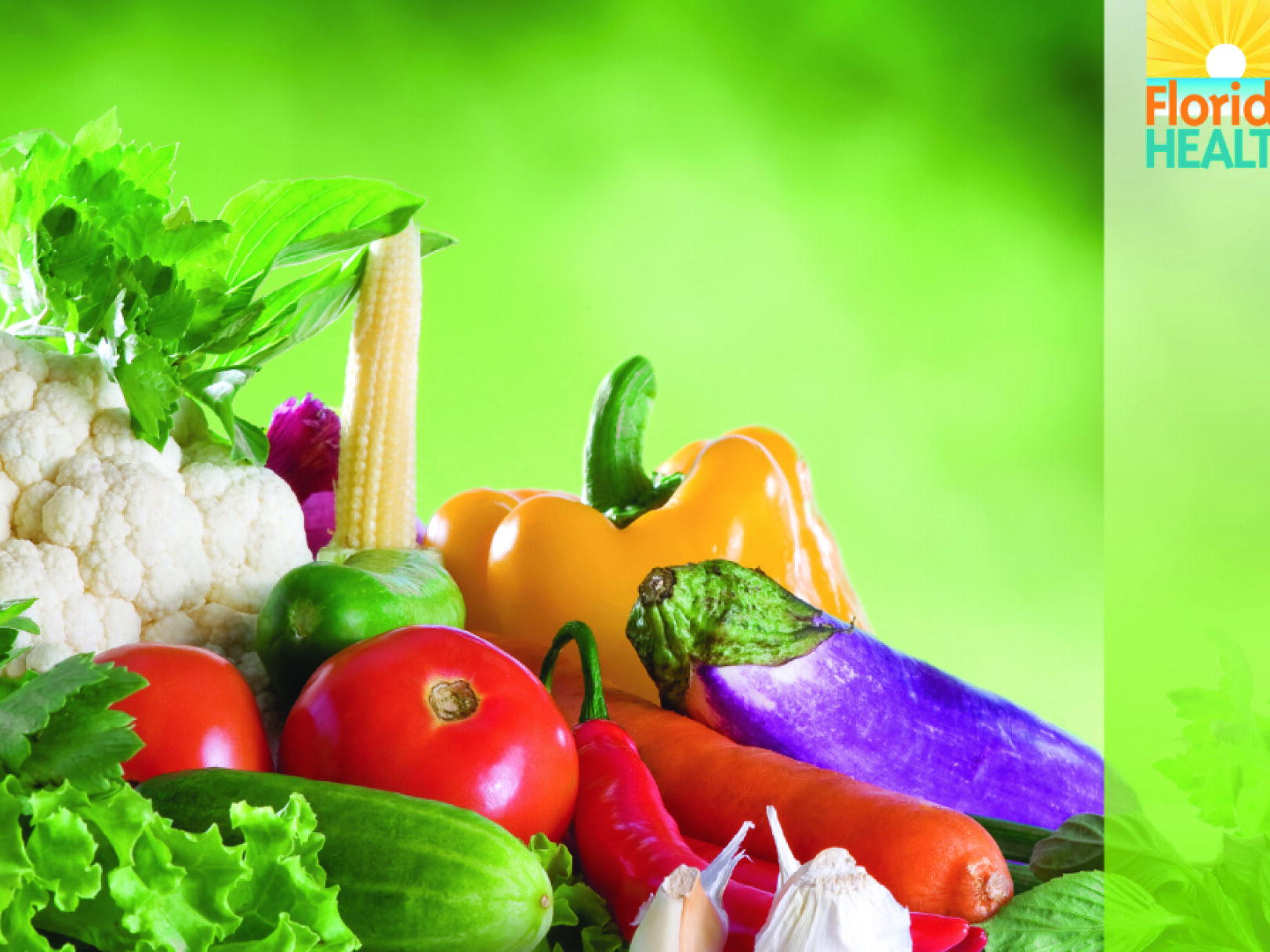 Essential Guide to Food Handling Safety Certification