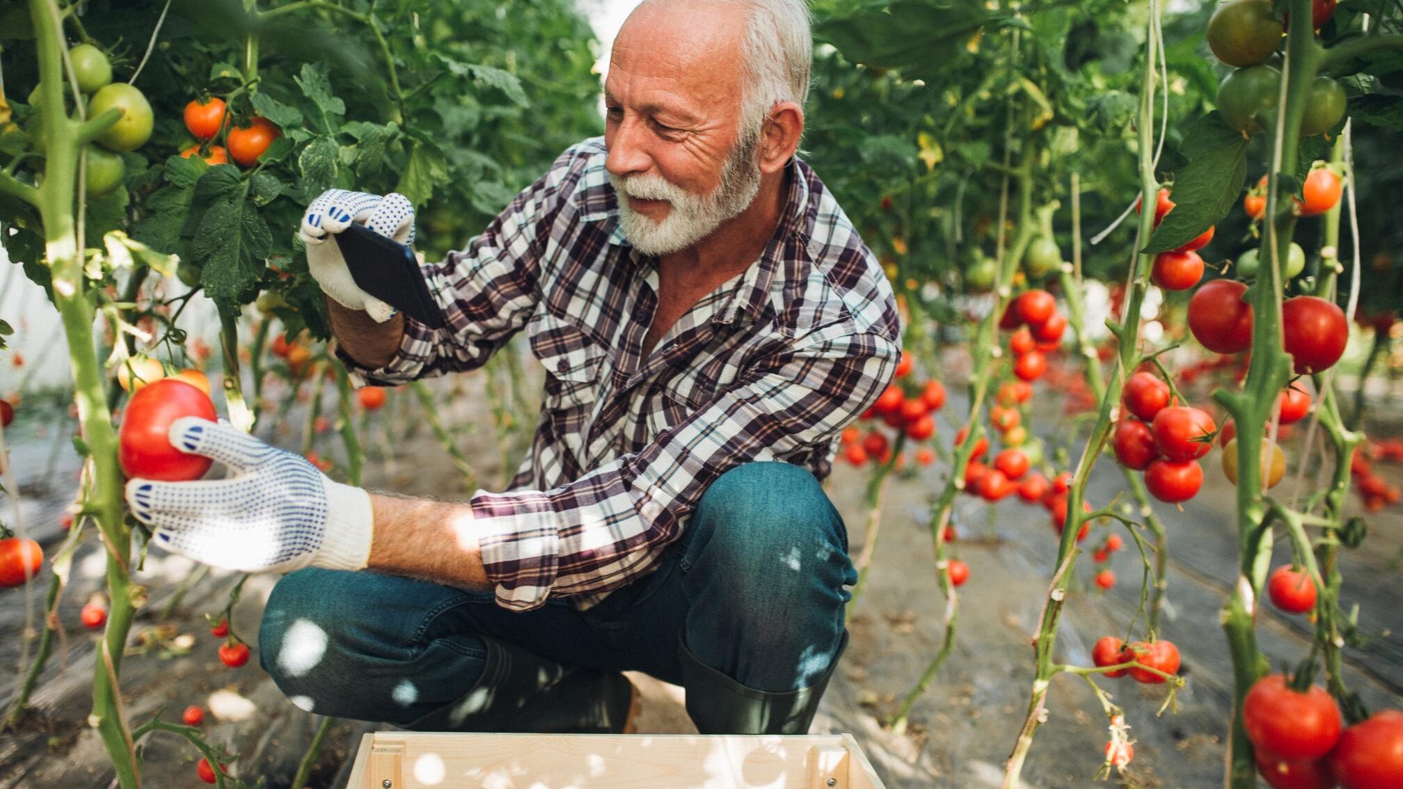 Essential Guide to Food Safety Certificate in South Australia