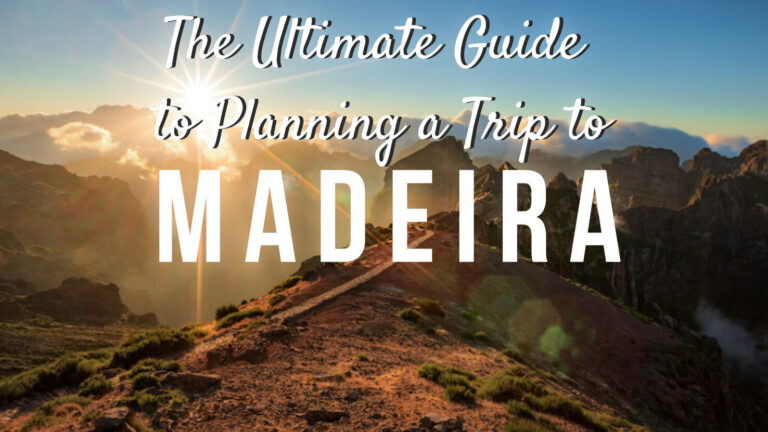 Essential Guide to New Zealand Travel Forms: All You Need to Know