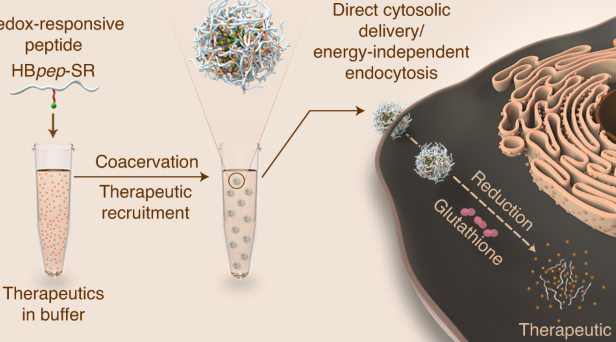 Essential Guide to Obtaining a Separation Certificate Online