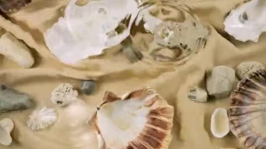 Everything You Need to Know About Abalone Licenses