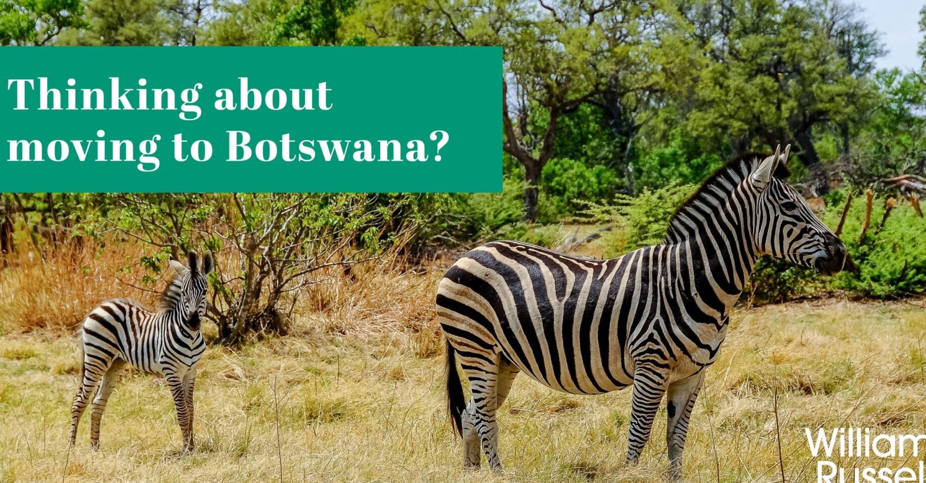 Everything You Need to Know About Botswana Birth Certificates