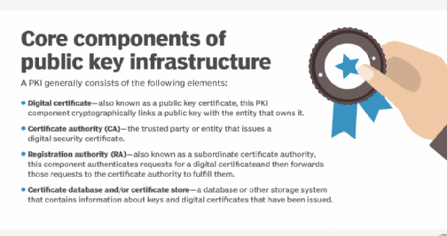 Everything You Need to Know About Certificate 4 in Legal Services