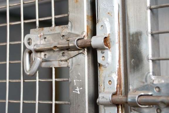 Everything You Need to Know About Getting a Kennel License in Tasmania