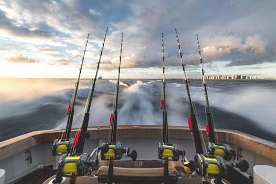 boat license tasmania Everything You Need to Know About Getting Your Boat License in Tasmania