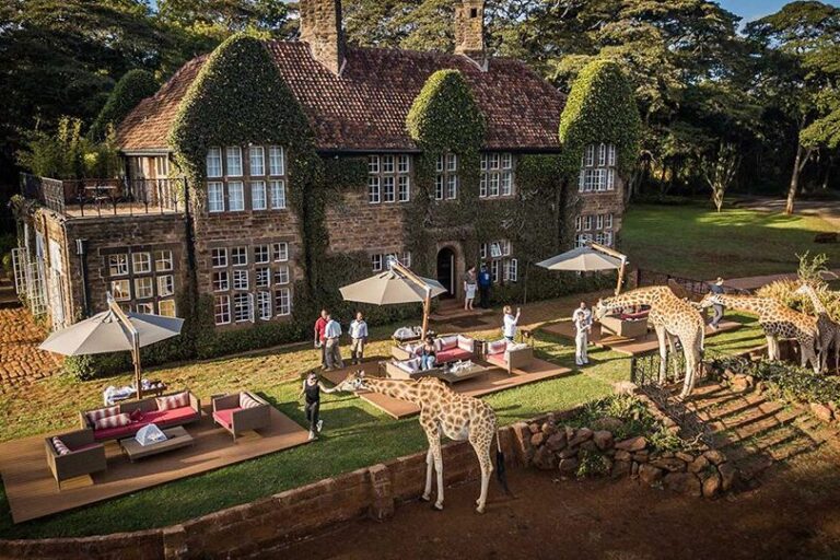 kenya license Everything You Need to Know About Kenya Licenses | Expert Guide