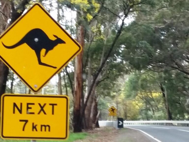 Expert Guide to VicRoads Declared Roads: Everything You Need to Know