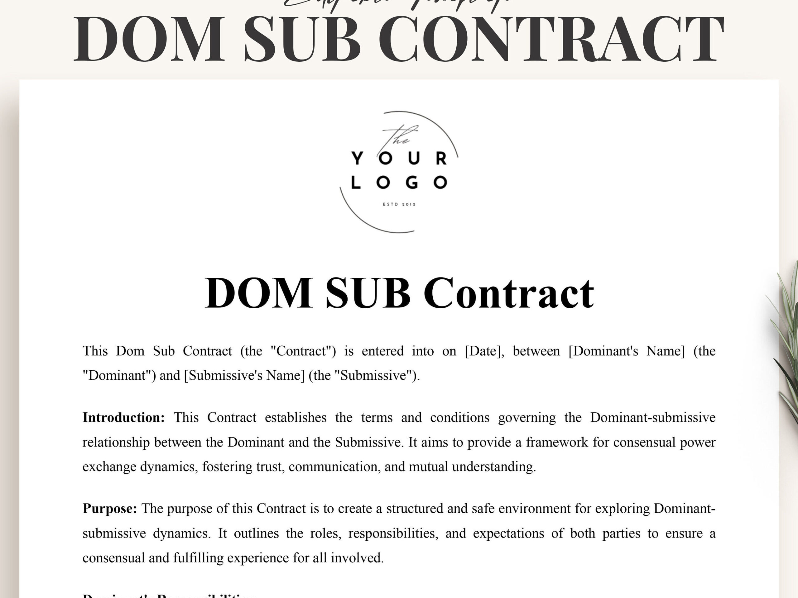 Exploring the Dynamics of BDSM Debt Contracts