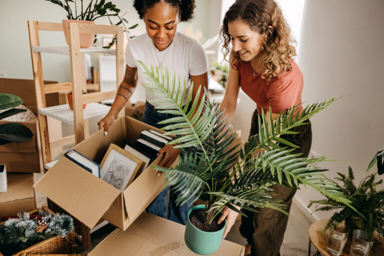 Guide to Obtaining a Certificate of Title in Queensland
