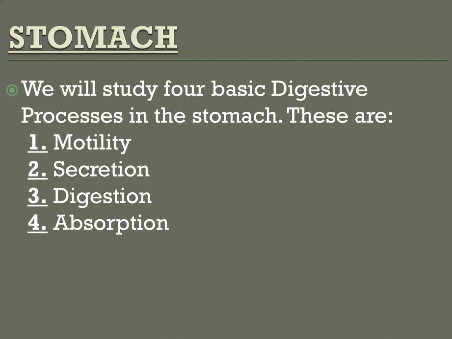 Intestinal Contractions: The Puzzle of Wavelike Movements
