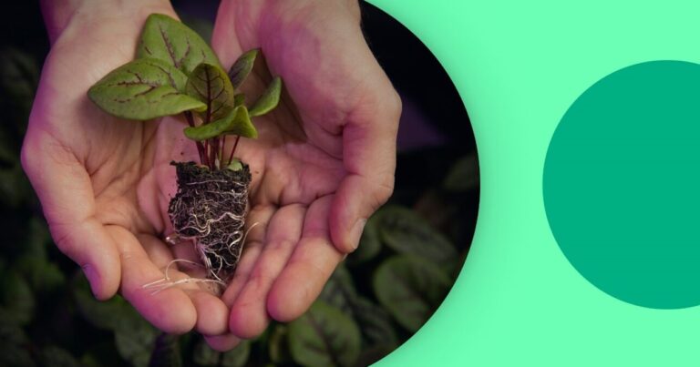 Is Soil a Renewable Resource? Exploring Sustainability in Agriculture