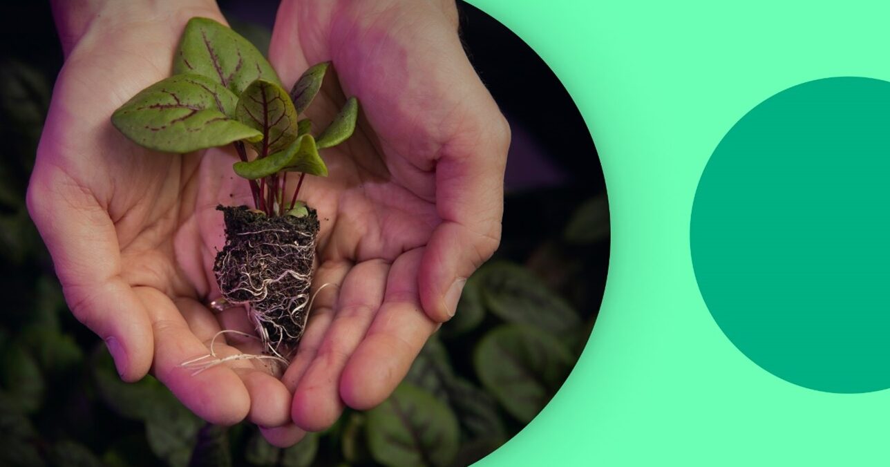 Is Soil a Renewable Resource? Exploring Sustainability in Agriculture