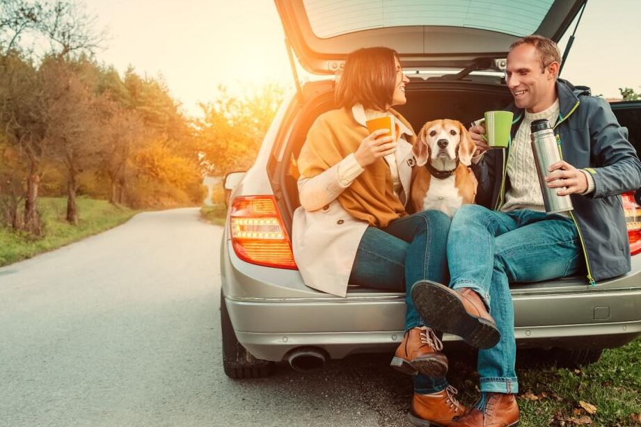 License Plate Game: A Fun Road Trip Activity for All Ages