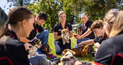 Master Real Estate with Certificate IV in Real Estate Practice at TAFE