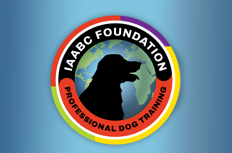 Master the Art of Dog Training: Certificate Program Guide