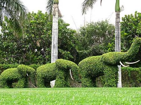 Master the Art of Landscaping with Certificate 3 in Landscape Construction