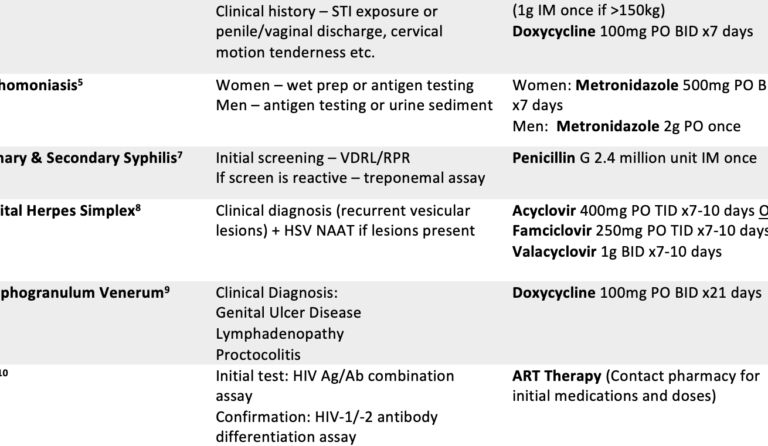 Master the Art: Sexual Therapist Certification Guide