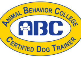 Master the Basics: Certificate 3 in Animal Care Guide