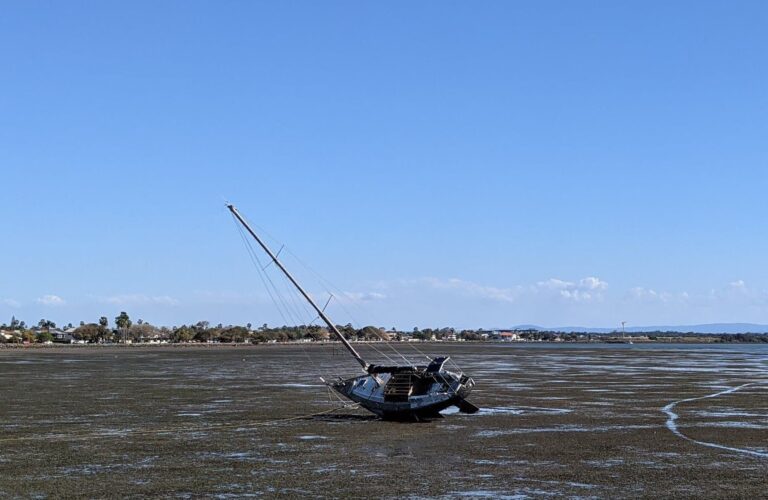 Master Water Operations with Certificate III in QLD