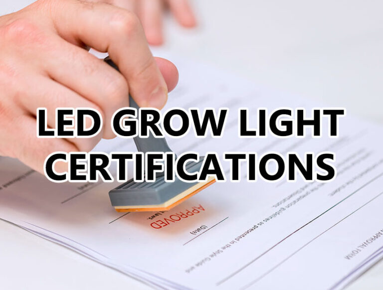 Nail Certificate Guide: Everything You Need to Know