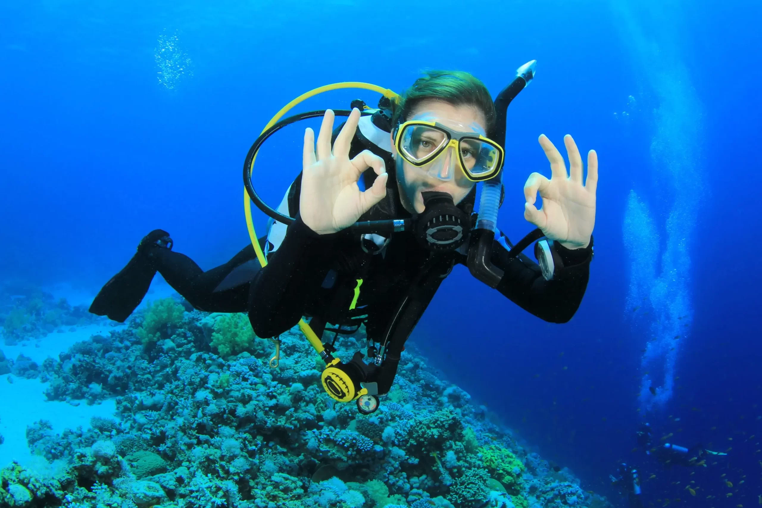 PADI Certification Levels: Your Guide to Scuba Diving Expertise