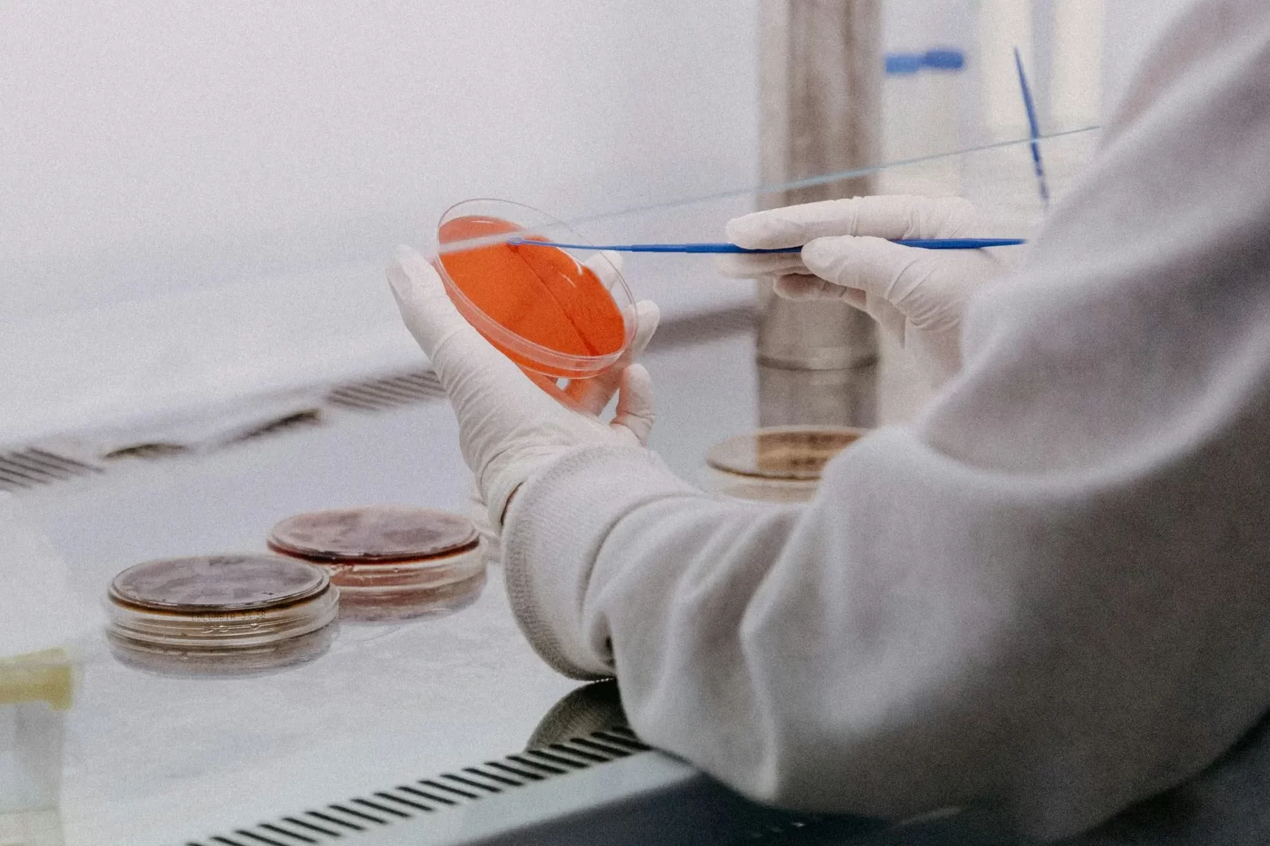 Pathologist Certificate: Your Guide to Advancing Your Career