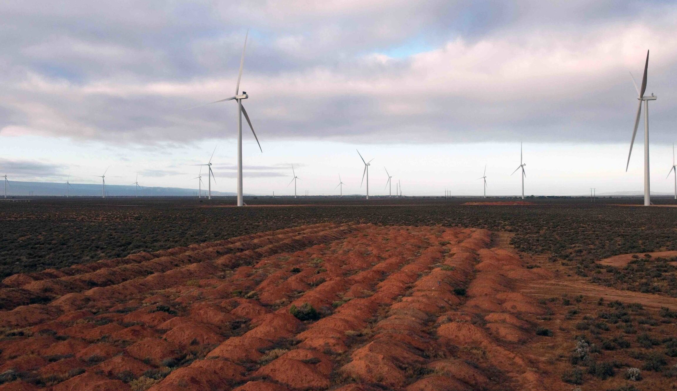 Port Augusta Renewable Energy Park: Powering a Sustainable Future