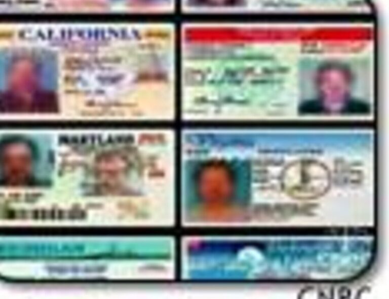 Renew Your Ontario Driver's License Hassle-Free: A Complete Guide