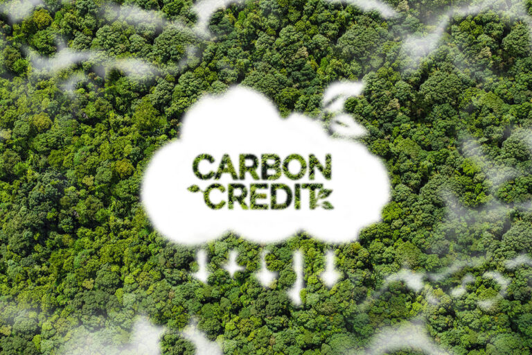 The Cost of Carbon Neutral Certification Explained