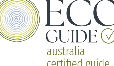 The Ultimate Guide to Australian Training Certificates