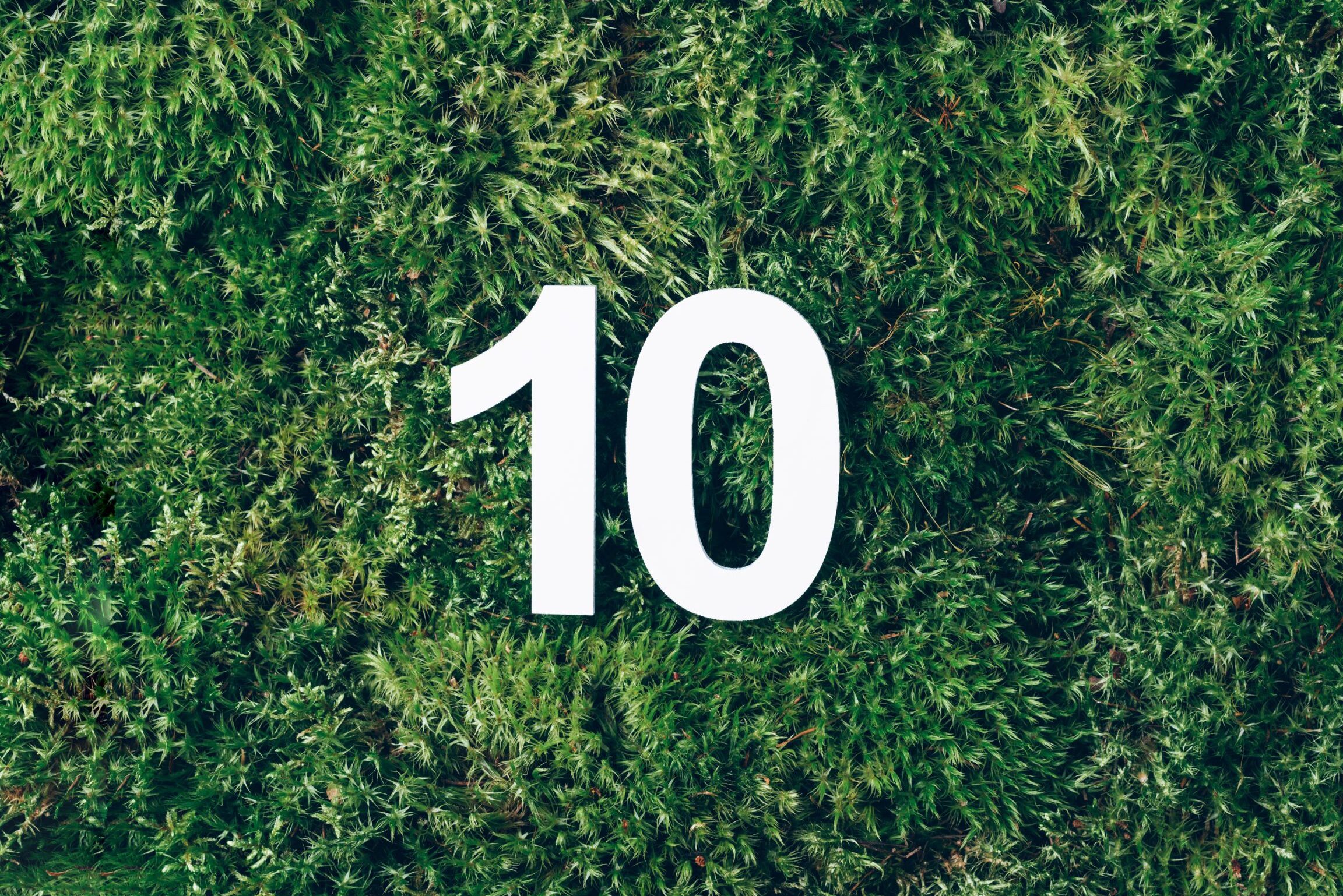 Top ASX Renewable Energy Companies: Leading the Green Revolution