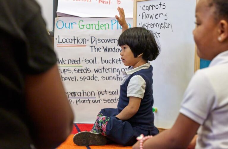 Top Free Early Childhood Webinars in Australia: Get Certified!