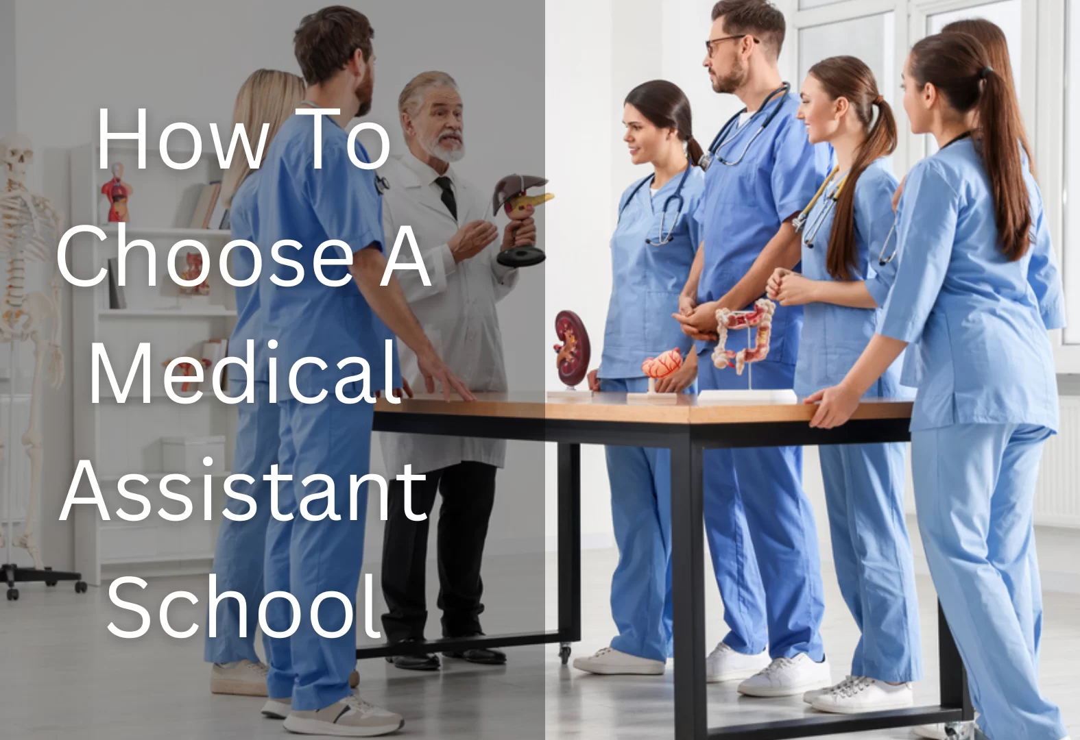Ultimate Guide to Certificate in Allied Health Assistance