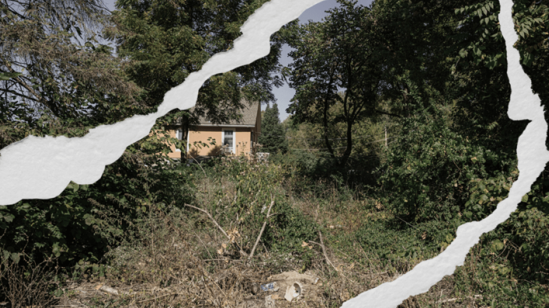 Understanding Absentee Land Tax: What Property Owners Need to Know