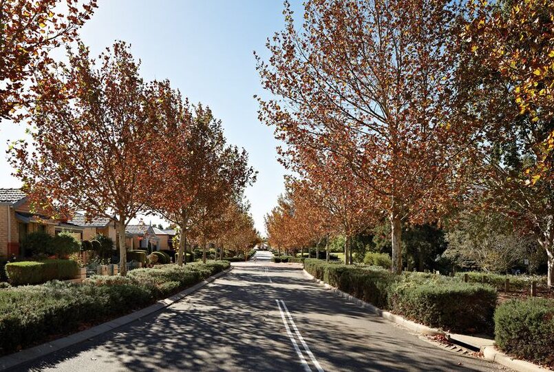 Understanding Carbon Tax in Ellenbrook: Impact and Insights