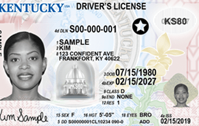 Understanding Interim Driver s Licenses What You Need To Know Understanding Interim Driver s Licenses What You Need To Know