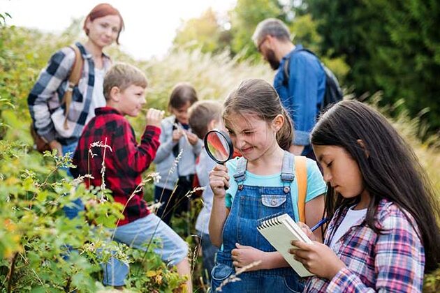 Understanding the Average Tax Return for Teachers in Australia