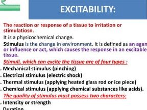 Understanding Tonic Contraction in Muscles: A Comprehensive Guide