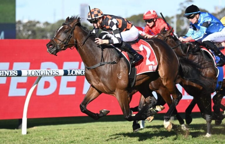 Vow and Declare: A Closer Look at the Caulfield Cup Champion