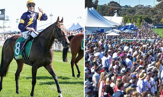 vow and declare melbourne cup Vow and Declare: Melbourne Cup Triumph Unveiled